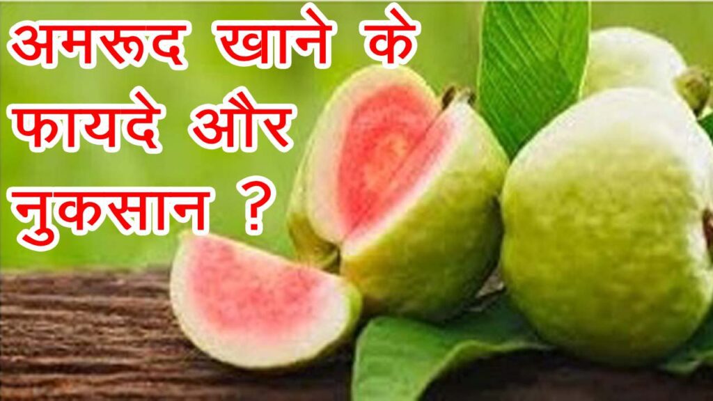 guava-amrud-health-benefits-nutrition-precautions