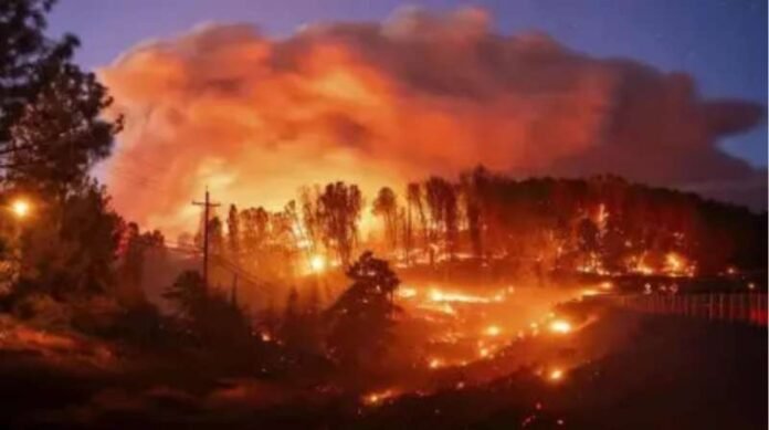 fire-1.jpeg